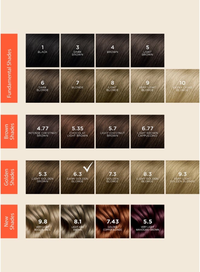 Phyto فيتو فيتوكولور 6.3 أشقر ذهبي داكن - Image 3